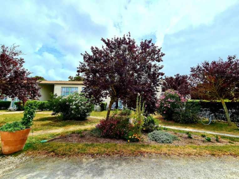 Appartement 91 Palais Des Gouverneurs Saint-Martin-de-Ré Zewnętrze zdjęcie