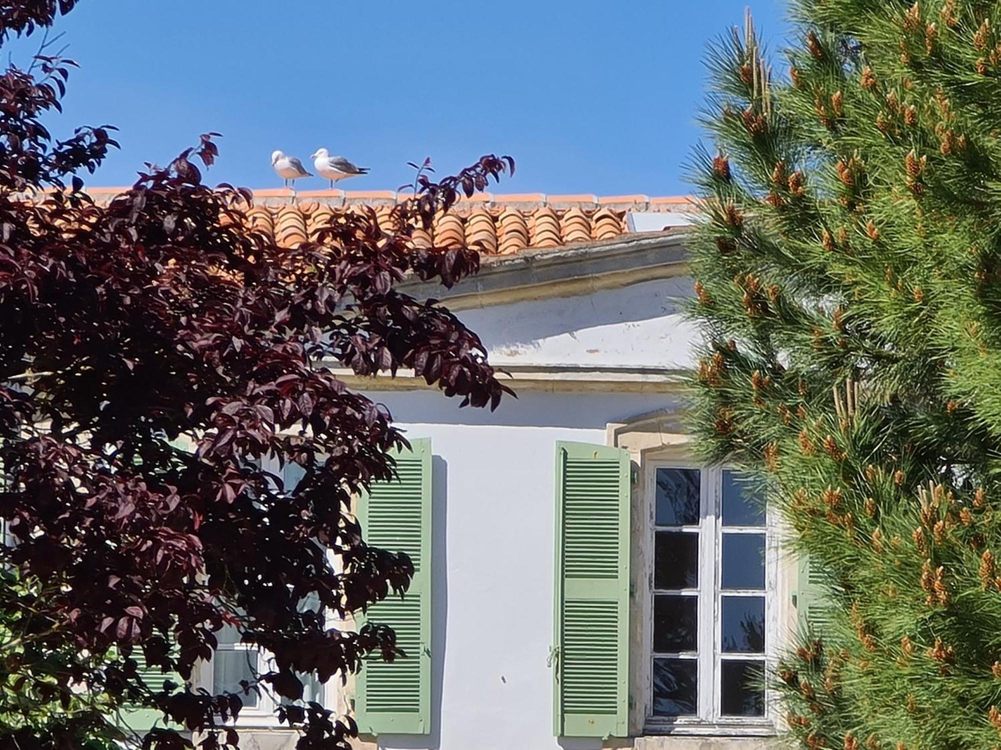 Appartement 91 Palais Des Gouverneurs Saint-Martin-de-Ré Zewnętrze zdjęcie